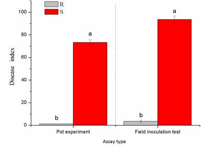 Root Exudates Metabolic Profiling Suggests Distinct Defense Mechanisms Between Resistant and Susceptible Tobacco Cultivars Against Black Shank Disease